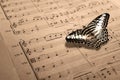 Music score with butterfly Royalty Free Stock Photo