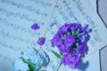 Music for the soul. two leaves with the score notes and a bouquet of Phlox purple and white flowers. Royalty Free Stock Photo