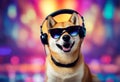 music sunglasses shiba inu doge background podcasting dog aring colorful adphones summer concept canino animal earphones fun