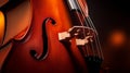 Musical acoustic instrument cello. Macro photography. Copy space. Place for text.