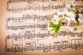 Musical background with spring flowers Royalty Free Stock Photo