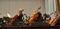 Musical concert in the Philharmonic. Violin player. Music concert background