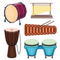 Musical drum wood rhythm music instrument series set of percussion vector illustration Royalty Free Stock Photo