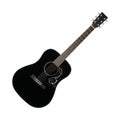 Musical instrument - Black acoustic guitar country flower bird pickguard isolated