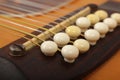 Musical instrument - bridge pins twelve-string acoustic guitar