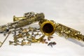 Disassembled saxophone with details and pads. Royalty Free Stock Photo