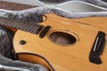 Musical instrument - Closeup fragment Broken acoustic guitar in case Royalty Free Stock Photo