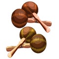 Musical instrument maracas in cartoon style