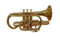 Shinny Cornet Horn Musical Instrument