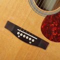 Musical instrument - Top view pickguard, bridge, pins and string