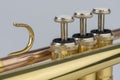 Musical instrument trumpet in detail