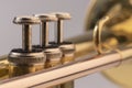 Musical instrument trumpet in detail Royalty Free Stock Photo