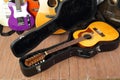 Musical instrument - Vintage twelve-string acoustic guitar hard case