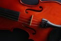 Musical instrument violin. Ancient violin. Stringed instrument.