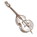 Musical instrument violoncello or cello classic music performance Royalty Free Stock Photo