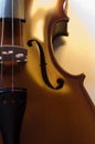 Musical instruments: violin close up (5 )