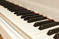 Musical journey. Side view of piano keyboard with black and white keys. Musical instrument Royalty Free Stock Photo