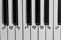 Musical Keyboard Keys Octave