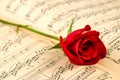 Musical notes and red rose Royalty Free Stock Photo