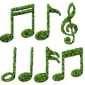 Musical notes, symbol made from green leaves isolated on white background. 3d render Royalty Free Stock Photo