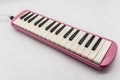 Musical pink melodian isolated on white Royalty Free Stock Photo