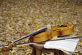 Musical sheet and violin with leaves in background