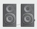 Musical speakers, wooden gray.