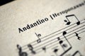 Musical tempo `Andantino` in a music notebook