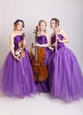 Musical trio Royalty Free Stock Photo