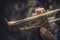 Musical trumpet in hands close-up Royalty Free Stock Photo