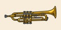 Musical trumpet sketch colorful vintage