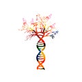 Human DNA double helix with tree colorful concept vector illustration. DNA spiral isolated design for genetics, biotechnology, sci
