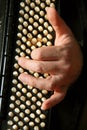 Musician hand playing accordion Royalty Free Stock Photo