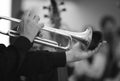 Musician hands playing the trumpet Royalty Free Stock Photo