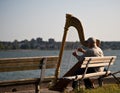 Musician harpist performer Royalty Free Stock Photo