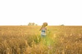 Musician holding acoustic guitar and walking in summer fields at sunset Royalty Free Stock Photo