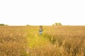 Musician holding acoustic guitar and walking in summer fields at sunset Royalty Free Stock Photo