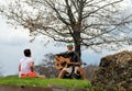 Musician performing in Zilker Metropolitan Park, Austin Royalty Free Stock Photo