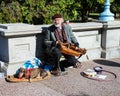 Musician performs at Boston Public Gardens.