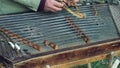 Musician play on traditional cimbalom. Traditional musical instrument