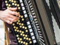 Musician playing on an accordion