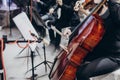 musician playing on contrabass at luxury wedding reception. string quartet performing at expensive wedding ceremony. bass and Royalty Free Stock Photo