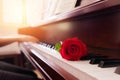 Musician playing piano with red rose flower with vintage filter Royalty Free Stock Photo