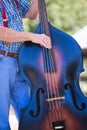 musician playing a string bass Royalty Free Stock Photo