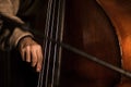 Musician Playing String Instrument in Rustic Environment