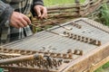 Musician playing traditional hammered dulcimer cymbalo with mallets Royalty Free Stock Photo