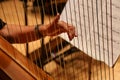 Musician plays the harp