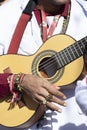 Musician plays the viola during the festival of the divine holy spirit in Sao Luiz do Paraitinga, Brazil Royalty Free Stock Photo