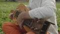 Musician's hands play the hurdy-gurdy