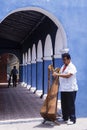 Musician from Tlacotalpan plays harp Royalty Free Stock Photo